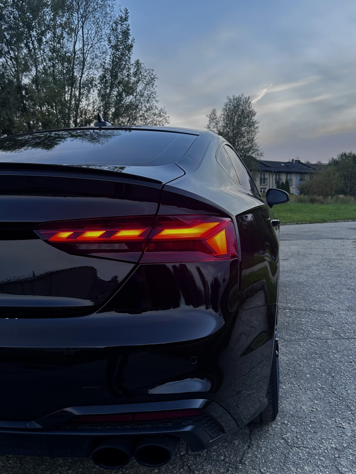 Audi S5 — detal lakieru po korekcie