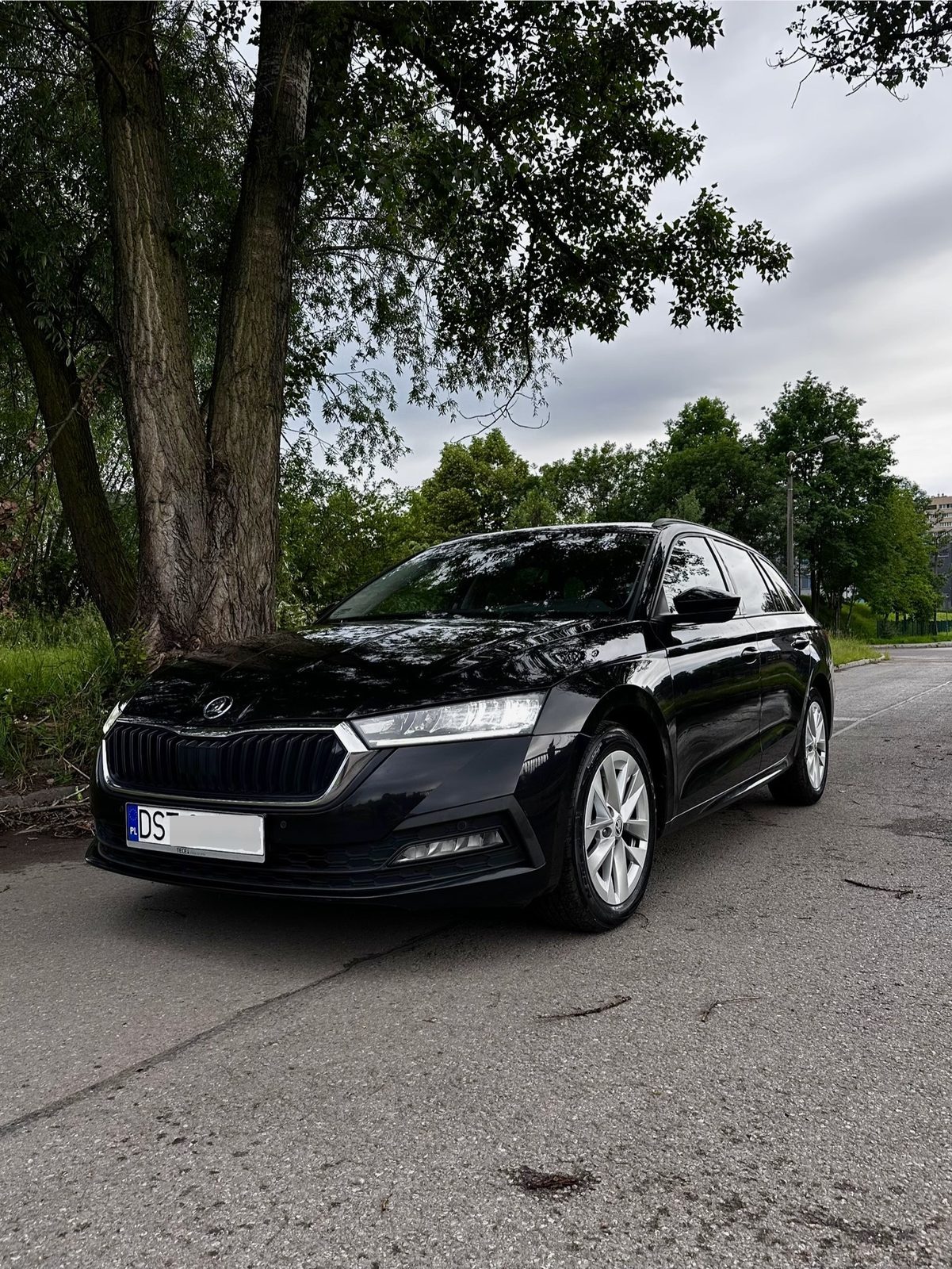 Skoda Octavia IV po myciu detailingowym — głęboki połysk lakieru po woskowaniu